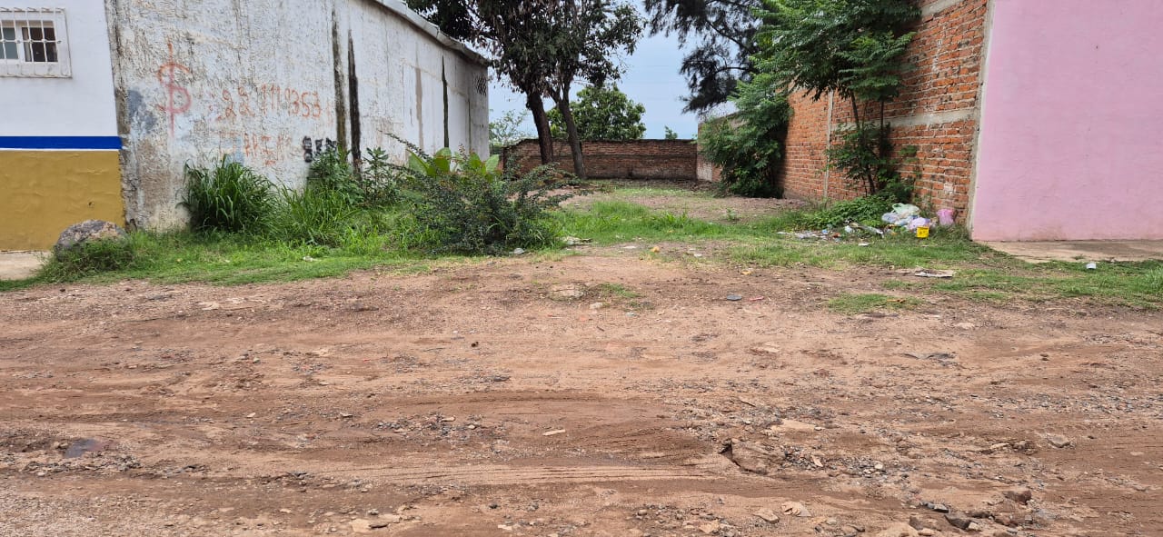 Lote Num. 46